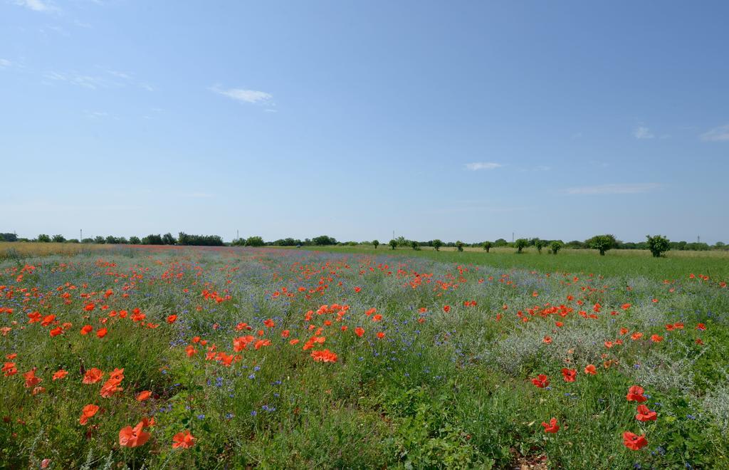Agriturismo Residence Caporale Remanzacco Bagian luar foto